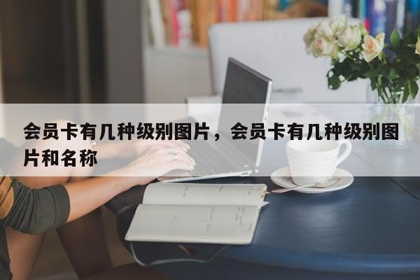 会员卡有几种级别图片,会员卡有几种级别图片和名称